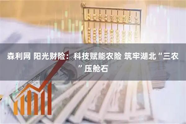 森利网 阳光财险：科技赋能农险 筑牢湖北“三农”压舱石