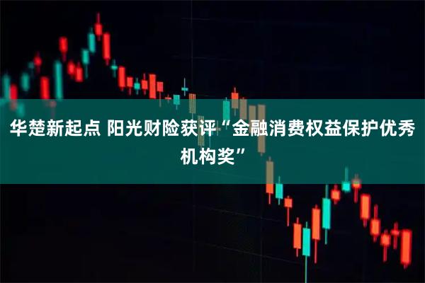 华楚新起点 阳光财险获评“金融消费权益保护优秀机构奖”